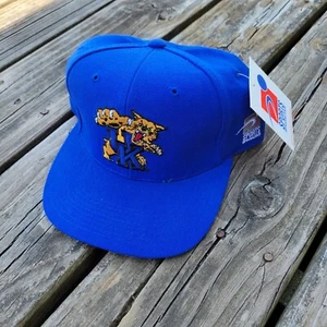 Sports Specialties University Of Kentucky Wildcats Embroidered Snapback Hat NWT - Picture 1 of 8