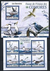 Comores 2009 Mini Sheet Bloc Jeu Minr : 2397 - 401, 523 MNH Oiseaux