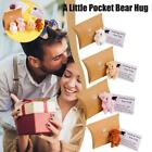 1 Little Pocket Bear Hug - Pocket Plush Bear UK
