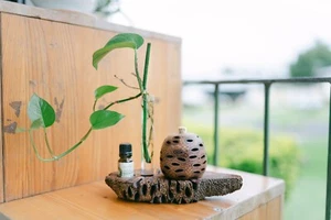 Australian Made Banksia Aroma Pod Gift Set – Natural Diffuser with Wooden Stand, - Picture 1 of 3