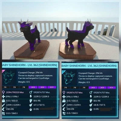 SHINEHORN NIGTHMARE BABY PAIR TOP STATUS ARK ASCENDED PVE OFFICIAL PC/XBOX/PS5 - Image 1 of 4