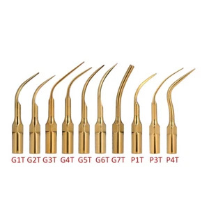 Woodpecker EMS Dental Ultrasonic Piezo Scaler Gold Tips G1T-G5T G6T G7T P3T P4T - Picture 1 of 21