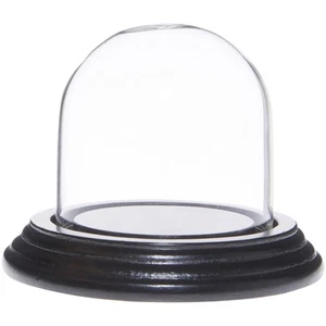 Cúpula de exhibición de vidrio pequeña Plymor de 2,5" x 2,5" (base de chapa de madera negra) - Imagen 1 de 1