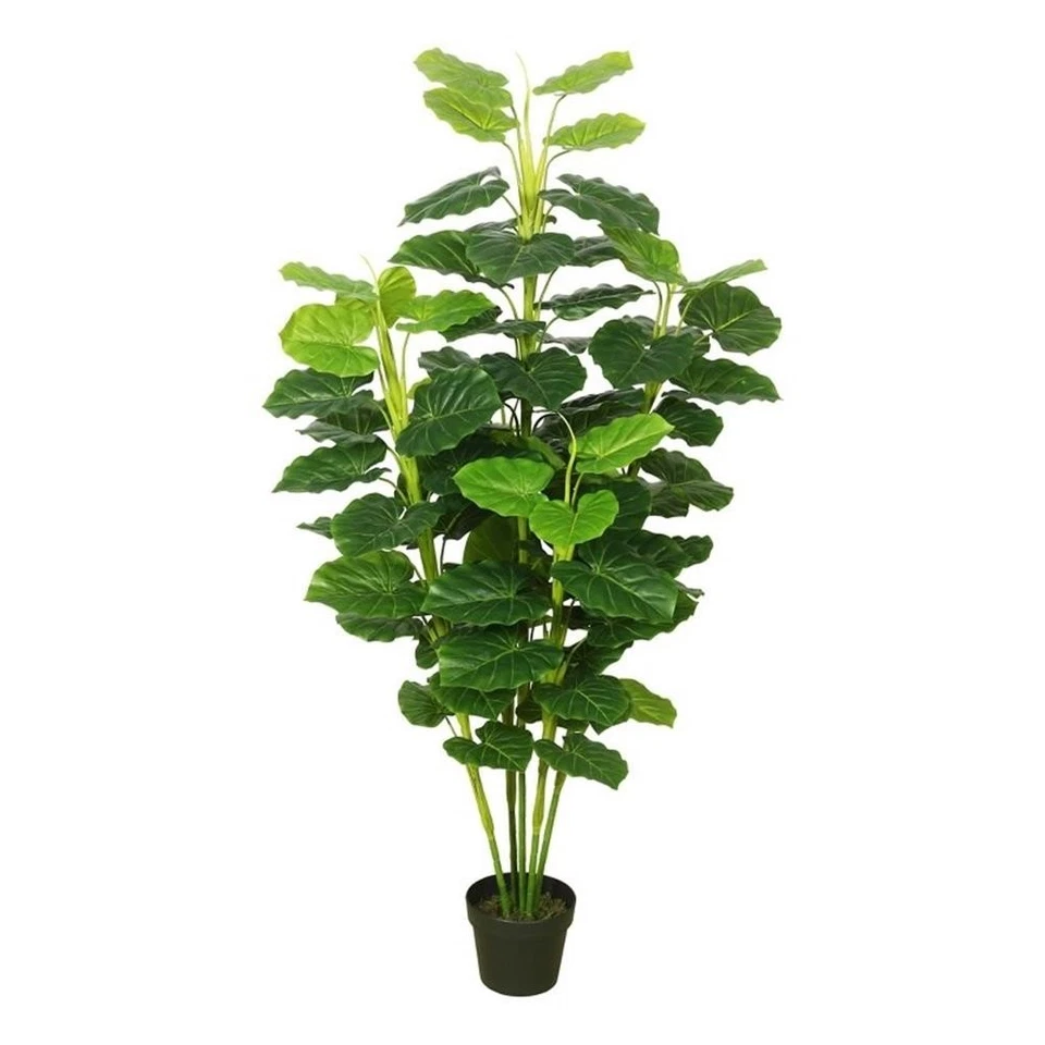 Filodendro fresco artificial plástico contemporáneo Vickerman 64" en verde Foto 1 de 1
