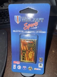 NUOVO WinCraft Pin Team USA Basketball Grant Hill francobollo design RARO - Foto 1 di 3