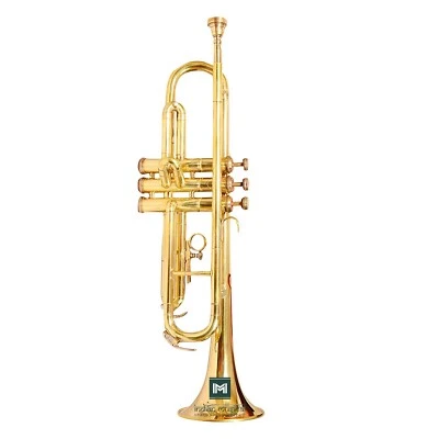 Trompeta IMI con todos los accesorios incluyendo boquilla y estuche. (ORO) Foto 1 de 4