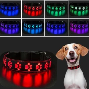 Pet Cat Dog Collar Night Safety Flashing Glow In The Dark Cat Leash Pet Supplie - Picture 1 of 31