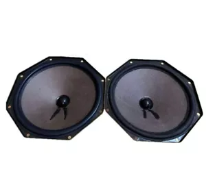NOS Coppia Woofer Vintage Philips AD8066/W4 8" 4ohm perfettamente funzionanti! Vecchia Sto nuova - Foto 1 di 3