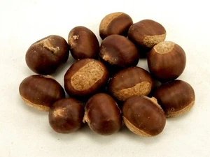 Lot of 13 Ohio Buckeye Nuts, For Crafting or Decorating (Non-edible) - Picture 1 of 3