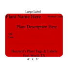Primula Lilac Globe  - Peel & Stick Labels  { Pk Of 25 }