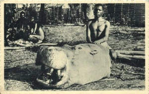 Congo francés, cazador nativo, cabeza de hipopótamo, misión de caza (1920) - Imagen 1 de 2