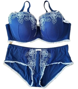 Adore Me 42DD Bra 2XL Panty Set Blue White Lace Underwire NWT Honeymoon Pretty - Picture 1 of 6