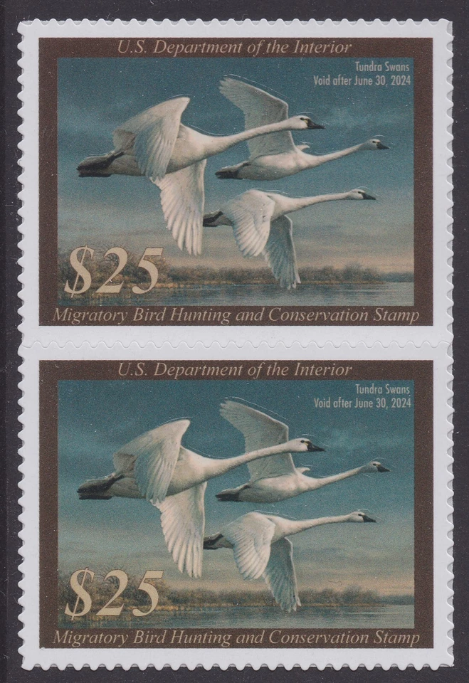 US RW90 Migratory Birds $25 vert pair MNH 2023-2024 - Image 1 of 1