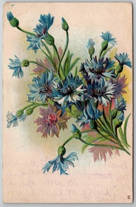 c1909 Postkarte blaue Blumen geprägt verschickt nach Prosperity South Carolina SC - Bild 1 von 2