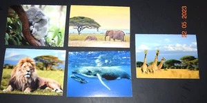 Set of Five (5) IFAW, "BELOVED ANIMALS" Cards (4.00" x 5.25") and ENVELOPES, New - Picture 1 of 4