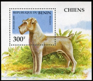 SCHNAUZER Dog Postage Stamp Souvenir Mini Souvignier Sheet Benin - 1995 Mint MNH - Foto 1 di 1