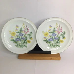 2 Side Plates Spring Garden China Blossom Collection Japan 19cm Diam Gold Trim - Picture 1 of 14