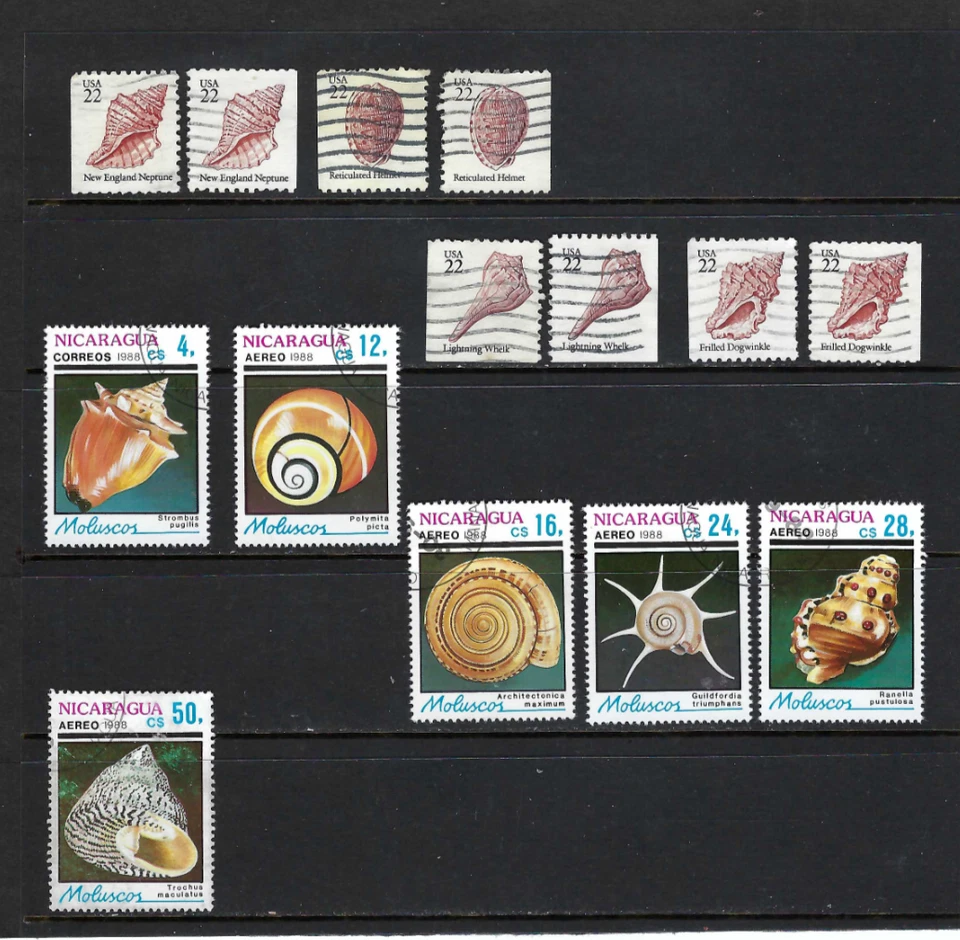 SHELLS-  UNITED STATES-  NICARAGUA.-   USED-  CTO.    60s- 70s - Image 1 of 1