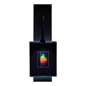 3D Finger 2-Channel Hologram Picture LIGHTED WALL MOUNT, EMBOSSED Type Film - Picture 1 of 7