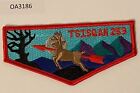Boy Scout OA 253 Tsisqan Lodge Red Broder Flap