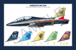 Aermacchi MB-339A Squadron Print - Poster 30x45 "Frecce Tricolori" 100 anni IAF - Foto 1 di 3