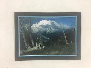 Mount Rainier National Park Postcard from Silver Forest Trail Large 6"x8" (4251) - Picture 1 of 2