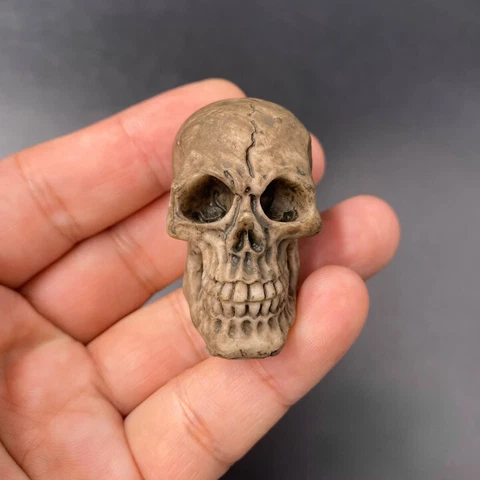 Pirate Captain Mini Aged Plastic Skull for 1/6th Scale 12" Action Figure New 1:6 Cover