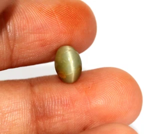 1.82 Ct Natural Quartz Cats eye Oval Shape 7 x 5 mm Untreated Gemstone Loose - Picture 1 of 15