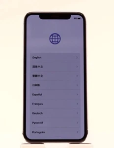 Apple iPhone X A1901 Desbloqueado 256 GB Plateado Buen Estado - Imagen 1 de 24
