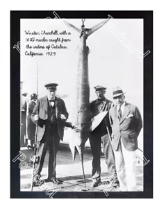 Historic Winston Churchill with a 188lb marlin Catalina, 1929 fishing Postcard - Bild 1 von 2