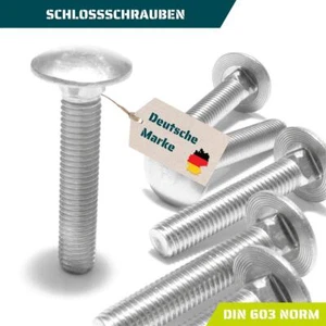 Schlossschraube Flachrundschrauben M6 12 bis 120mm DIN 603 A2 Edelstahl Vollgew. - Bild 1 von 160