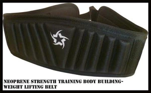 BODY BUILDING STRENGTH TRAINING WEIGHT LIFTING BELT GYM BACK SUPPORT - Picture 1 of 4