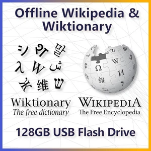 Offline Wikipedia & Wiktionary 128GB USB Flash Drive (Kiwix Viewer) - Afbeelding 1 van 1