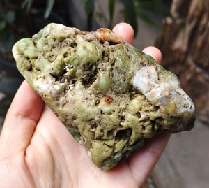 255Gr Natural Rough Green CHRYSOPRASE Mineral Specimen Rough - Picture 1 of 10