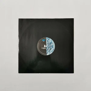 Luther Vandross - Ain't No Stoppin' Us Now 12" Demonstration Promo Vinyl Record - Imagen 1 de 5