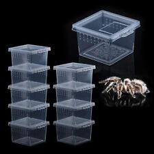 10x Clear Reptile Spider Breeding Feeding Hatching Box Terrariums Container