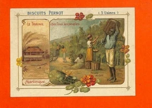 BISCUITS PERNOT / CHROMO / LE TRAVAIL EN MARTINIQUE / RECOLTE DU CAFE - Picture 1 of 2