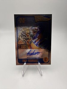 Endy Rodriguez 2020 Onyx Nimbus Prospect Rookie Baseball Silver Card /325