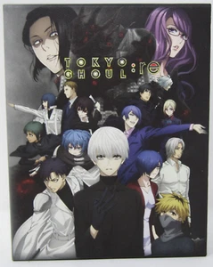 Funimation Tokyo Ghoul:Re Blu Ray/DVD Box Set - Foto 1 di 5