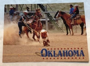 Oklahoma Cattle Roping. Postcard (N2) - Picture 1 of 2