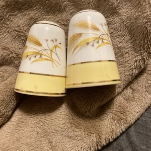 Vintage Homer Laughlin Golden Wheat China Salt And Pepper - Picture 1 of 12