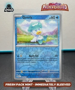 Quaxly 049/193 Holo Pokémon Reverso JCC: Paladea Evolucionada Tarjeta COMO NUEVA ENVIADA HOY - Imagen 1 de 2