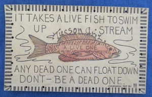 1900s Tucson Arizona Comic FIsh Leather Greeting Postcard - Picture 1 of 2