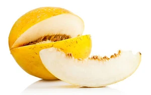 CASABA MELON SEEDS * GOLDEN COLOR FRUIT * SWEET * VITAMIN C * SHIPS WELL * 9 /PK - Picture 1 of 2