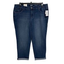Style & Co Plus Size Mid Rise BOYFRIEND Jeans Womens 18w Blue Denim Stretch