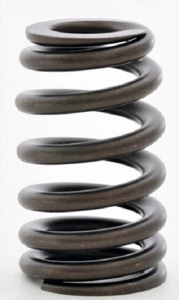 Se adapta a Hummer H2 2003-2007 6,0 L OHV V8 16V LQ4 - resorte de válvula (paquete de 4) Foto 1 de 1