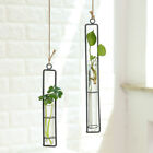 Nordic Wall Hanging Clear Glass Vase Flower Planter Bottle Pot Terrarium Decor