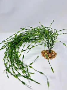 33" XL 6-stem JUNGLE VAL Sea Grass Soft flowing plastic plant, stone base - Picture 1 of 4