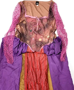 Disney Hocus Pocus Adult Witch Costume Dress Sarah Sanderson Womens Size Large L - Picture 1 of 8