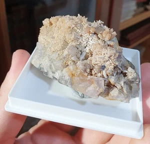 Pyromorphite, Chaillac Mines, Le Blanc, Indre (36), France - Picture 1 of 8